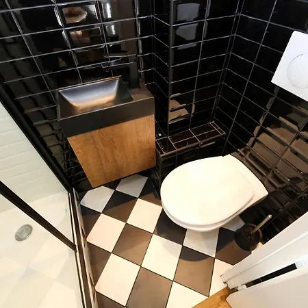 Proche Des Celebres Puces De 4p